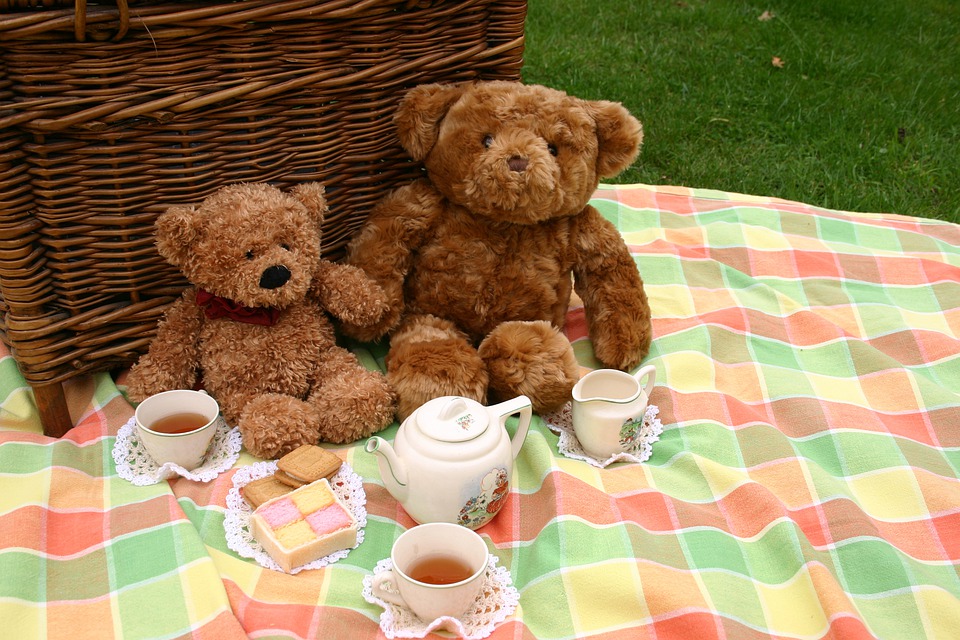 Teddy Bears Picnic! 